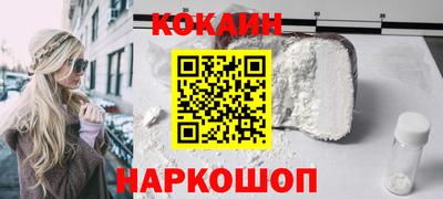 индика Камышлов