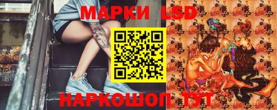 индика Камышлов