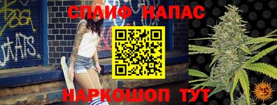 индика Камышлов