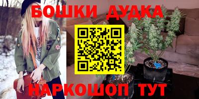 индика Камышлов