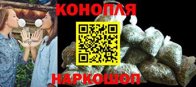 индика Камышлов