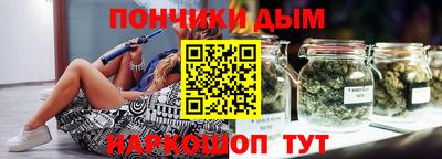 индика Камышлов
