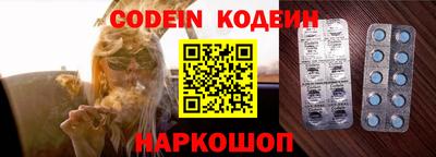 индика Камышлов