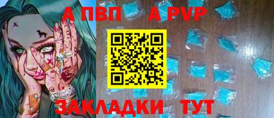 индика Камышлов