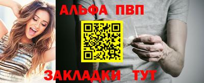 индика Камышлов