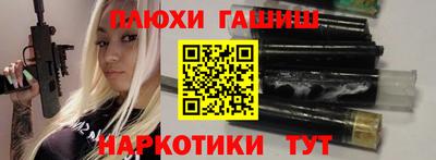 индика Камышлов