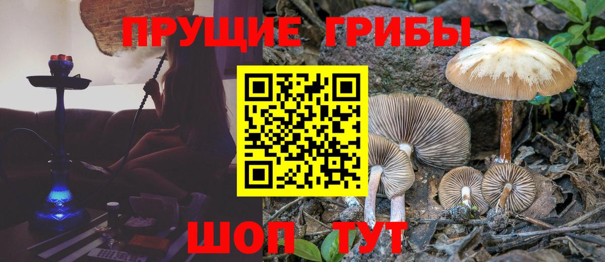 Галлюциногенные грибы MAGIC MUSHROOMS Майский